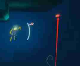 潜水员戴夫金眼鲷怎么捕捉 金眼鲷捕捉方法