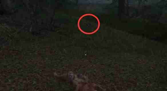 天国拯救2呆呆任务怎么做 天国拯救2呆呆任务流程详细图文版