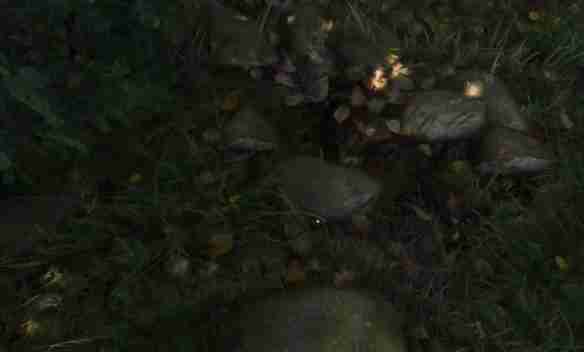 天国拯救2呆呆任务怎么做 天国拯救2呆呆任务流程详细图文版