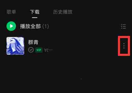 汽水音乐有一起听的功能吗