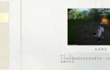 仙剑世界的属性克制关系 探索仙剑中不可不知的克制机制