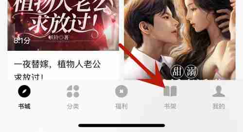 番茄小说怎么听书设置