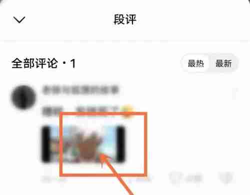 番茄小说怎么打开段落评论