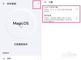 荣耀MagicVs3怎么关闭自动更新_荣耀MagicVs3自动更新关闭方法介绍