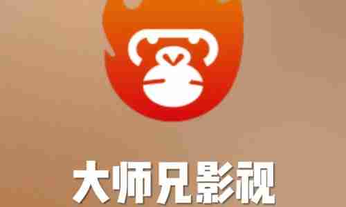 大师兄软件用不了怎么办