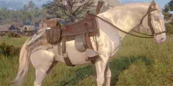 荒野大镖客2最好的马在哪里抓