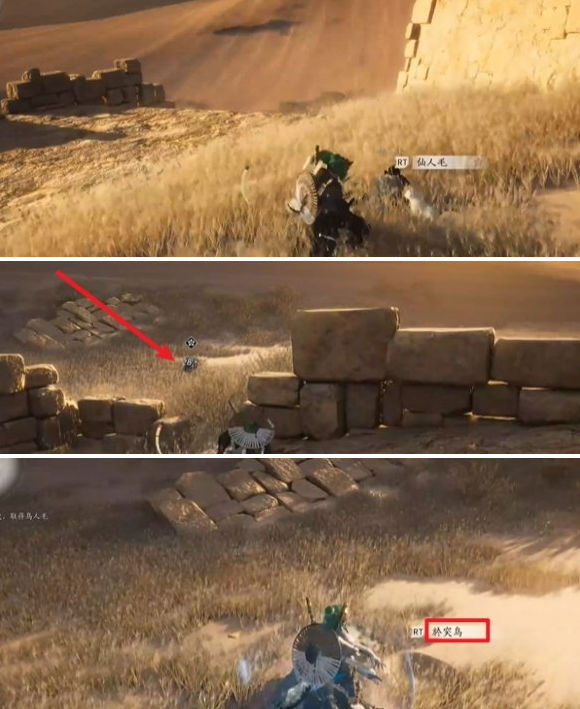 燕云十六声猫瘾患者奇遇怎么做 猫瘾患者奇遇攻略