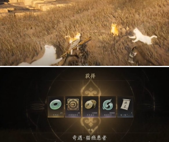 燕云十六声猫瘾患者奇遇怎么做 猫瘾患者奇遇攻略