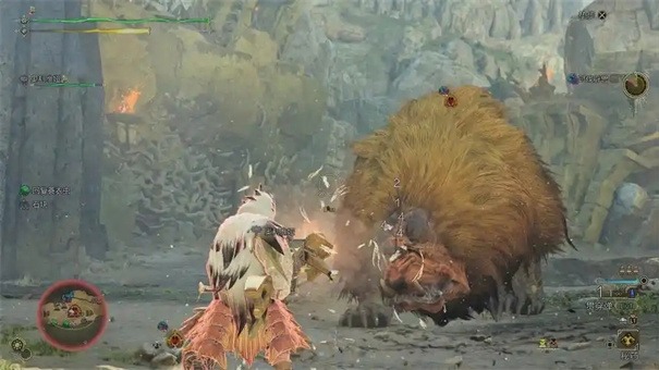 怪物猎人荒野斗技大会排名怎么看