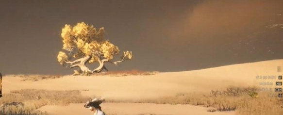 燕云十六声迷津渡天地万籁在哪 迷津渡天地万籁位置分享