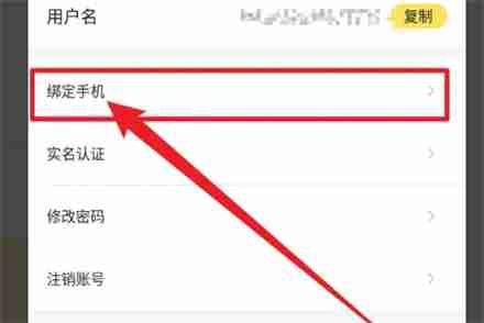 雷电云手机在哪绑定手机 雷电云手机绑定手机方法