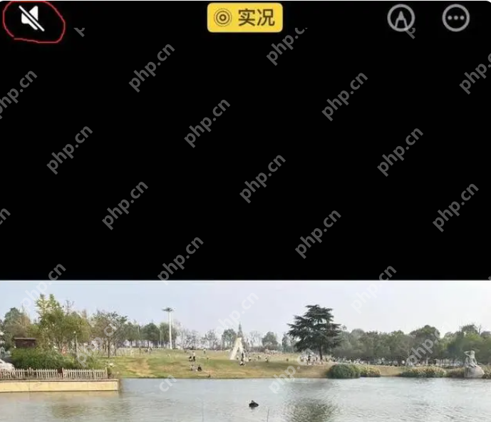 不带声音的微信实况朋友圈怎么发布 微信朋友圈实况图消除声音方法一览