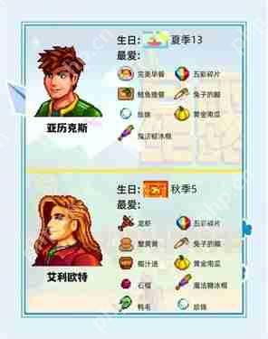 星露谷物语结婚对象排名