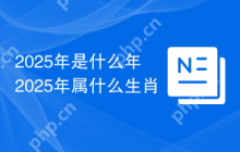2025年是什么年 2025年属什么生肖