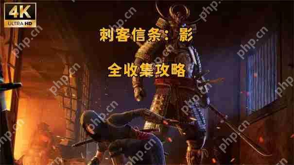 刺客信条影武形怎么按