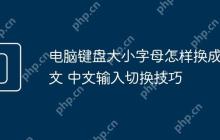 电脑键盘大小字母怎样换成中文 中文输入切换技巧