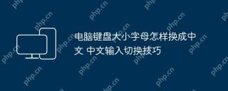 电脑键盘大小字母怎样换成中文 中文输入切换技巧