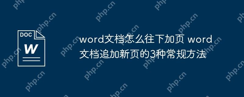 word文档怎么往下加页 word文档追加新页的3种常规方法