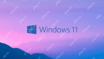 Win11 Win11 시스템 롤백 작동 안내서의 이전 버전을 반환하는 방법
