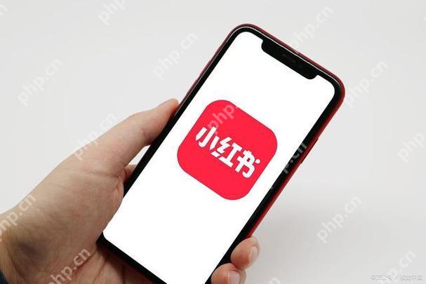 小红书怎么搜索加人 搜索加人功能使用技巧