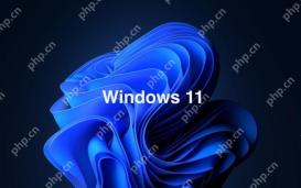 win11怎么退回win10 win11降级win10操作指南