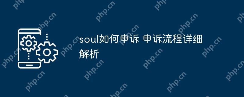 soul如何申诉 申诉流程详细解析