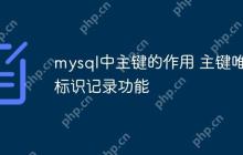 mysql中主键的作用 主键唯一标识记录功能