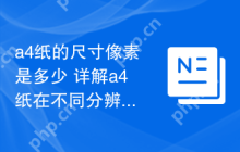 a4纸的尺寸像素是多少 详解a4纸在不同分辨率下的像素值