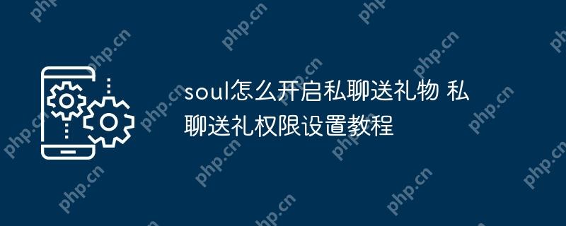 soul怎么开启私聊送礼物 私聊送礼权限设置教程