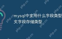 mysql中文用什么字段类型 中文字段存储类型