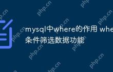 mysql中where的作用 where条件筛选数据功能