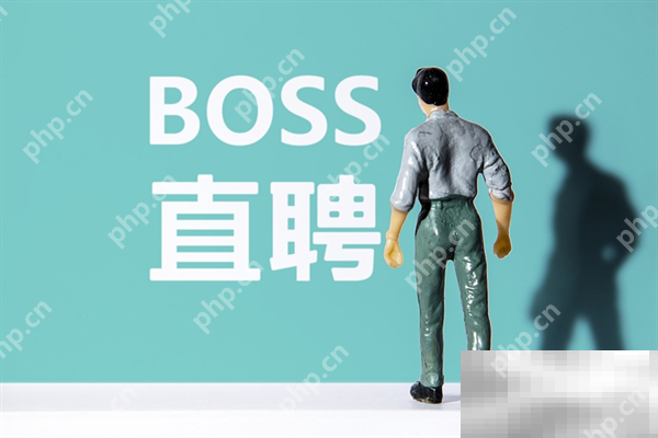 boss直聘企业收费标准介绍