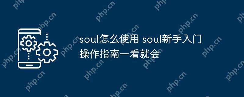 soul怎么使用 soul新手入門操作指南一看就會(huì)