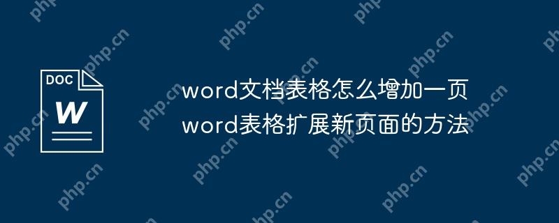 word文档表格怎么增加一页 word表格扩展新页面的方法