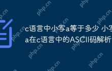 c语言中小写a等于多少 小写a在c语言中的ASCII码解析