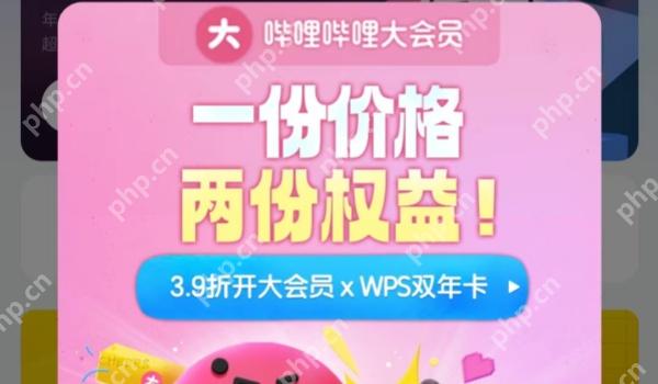 哔哩哔哩大会员作用介绍