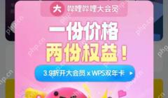 哔哩哔哩大会员作用介绍