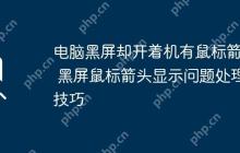 电脑黑屏却开着机有鼠标箭头 黑屏鼠标箭头显示问题处理技巧