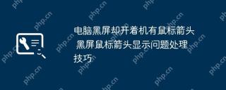 电脑黑屏却开着机有鼠标箭头 黑屏鼠标箭头显示问题处理技巧