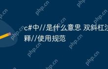 c#中//是什么意思 双斜杠注释//使用规范