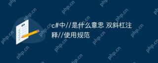 c#中//是什么意思 双斜杠注释//使用规范