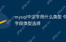 mysql中汉字用什么类型 中文字段类型选择