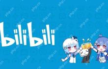 b站实名认证怎么弄 实名认证流程及注意事项
