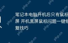 笔记本电脑开机后只有鼠标黑屏 开机黑屏鼠标问题一键修复技巧