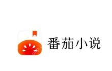 番茄小说金币兑换比例低？教你最大化收益！