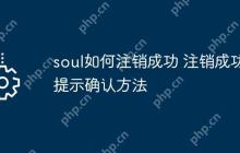 soul如何注销成功 注销成功提示确认方法