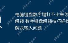 电脑键盘数字键打不出来怎么解锁 数字键盘解锁技巧轻松解决输入问题