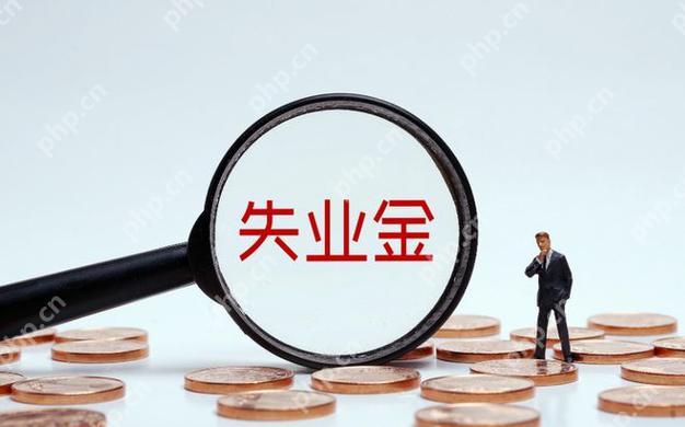 失业补助金怎么领 补助金领取方式及到账说明