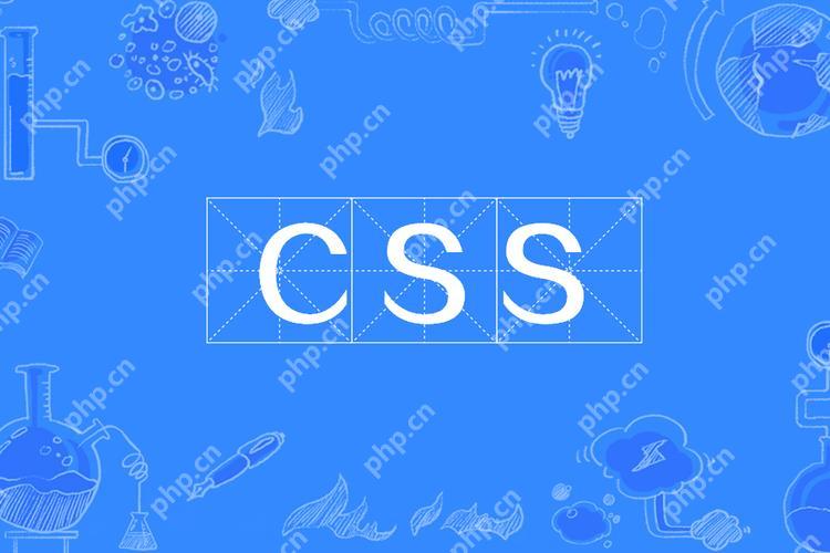 css中p是什么元素 css中p标签的元素类型解析-小浪学习网