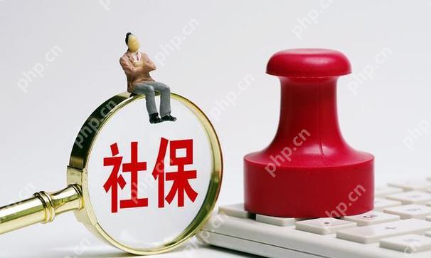社保繳費記錄查詢 如何查詢個人社保繳費記錄 - 小浪云數據